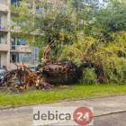zdjęcie nr 30