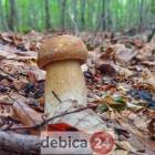 zdjęcie nr 24