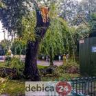 zdjęcie nr 39