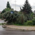 Fotka nr 5 z 49