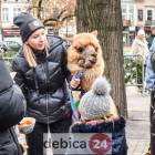 zdjęcie nr 53