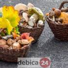 zdjęcie nr 20