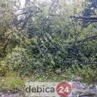 zdjęcie nr 45