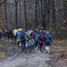 zdjęcie nr 35