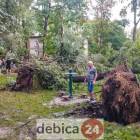 zdjęcie nr 43