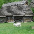 zdjęcie nr 55
