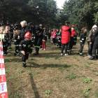 zdjęcie nr 11