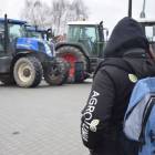 zdjęcie nr 16