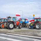 zdjęcie nr 14
