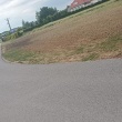zdjęcie nr 