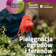 zdjęcie nr 