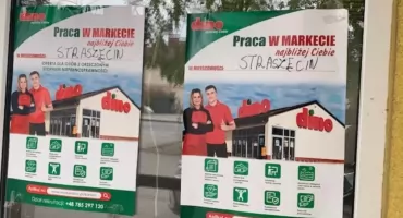 Tu będzie Dino - wkrótce przyjęcia do pracy