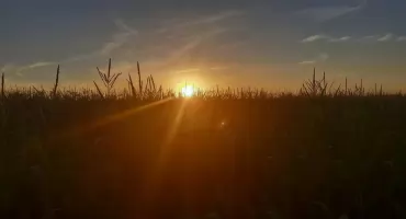 Fala upałów nadciąga nad nasz powiat. W niedzielę silne burze