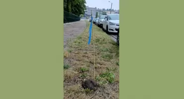 Orlen szuka w naszym powiecie złóż gazu i ropy