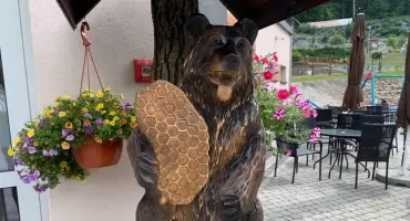 Jakie imię dla misia? Pomóż wybrać
