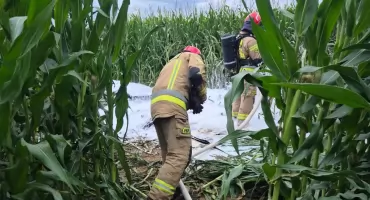 Płonąca awionetka lądowała na polu kukurydzy
